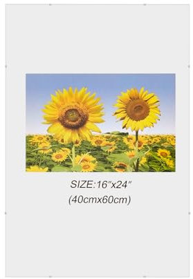 MARCOFOTO Set de 1 Marco de Fotos – Marco Clip de Plexiglas sin Marco – Portafotos de Plexiglas Transparente con Colgador – Diseno Minimalista para Fotos, Diplomas y Certificados – 40x60 cm