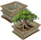 2er-Set Bonsai Keramiktopf Bonsaischale mit Untersetzer und Entwässerungslöchern für Japanische Bonsai Zimmerpflanzen, Retro-Dekoration für Gartenbehälter-Sets im Freien, Durchmesser Öffnung 19cm