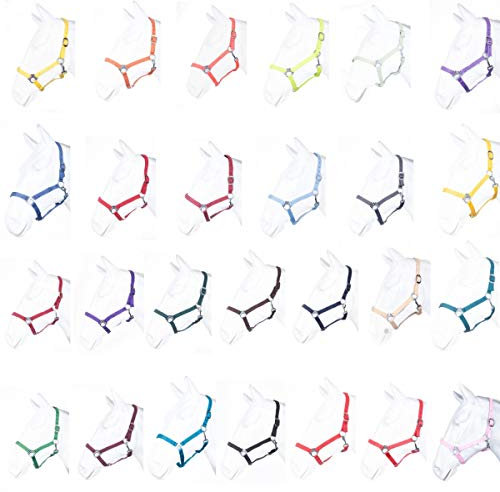 HKM by Reiterladen24 - Halfter BASICLINE weinrot Warmblut