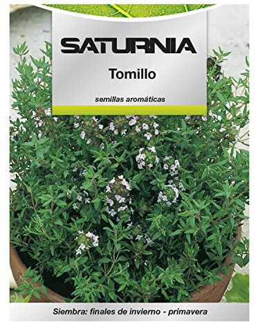 SATURNIA - Semillas Aromaticas Tomillo (1 gramo) Horticultura, Horticola, Semillas Huerto.