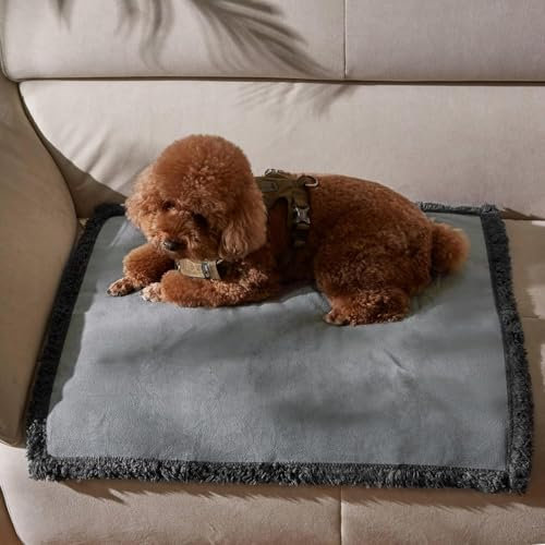 Pawsee Wasserdicht Hundedecke Katzendecken Waschbar, wasserdichte Decke für Unterwegs Hundesofa Schutzdecke Sofa Überwurf, Flauschig Hundedecke für Miniaturhunde Kleine Hunde Katzen,XS 75 x 60cm