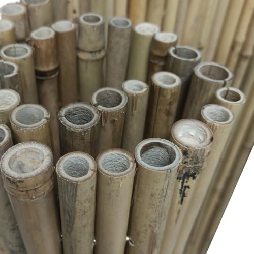 BONERVA | Bambú Pro Caña Completa | Cañizo de Bambú Caña Gruesa para cerramientos y decoración de Jardín, balcón y Exteriores | 12 mm - 25 mm diámetro cañas | Varias Medidas (1 x 3 Metros)