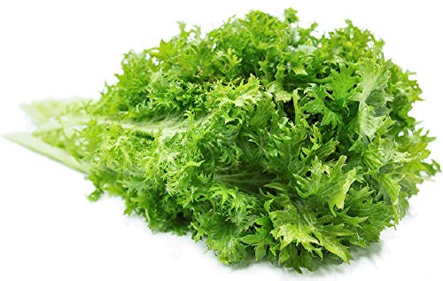 Wasabi Mustard Green Seeds - 100 Count Seed Pack - Non-GMO - Large Green Leaves with Wavy Edges and a Fun Wasabi-Like bite. - Country Creek LLC