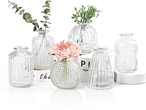Vasen Klein Glas EylKoi - 6 Teile/Satz Klar Verschiedene Formen, Vasen Hochzeit, Tischdeko Mini Kleine Für Zuhause, Veranstaltungen Tisch, 1# + 2#