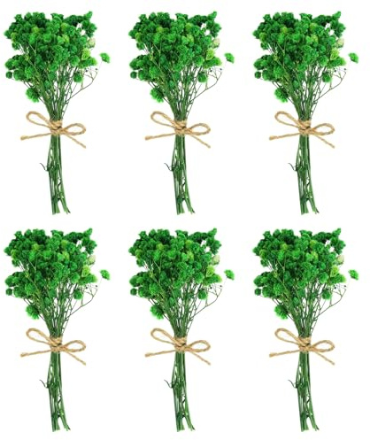 PATIKIL Mazzo di Fiori Secchi Mini, 6 Pz Gisofila Naturale con Stelo Decorazione Pianta Floreale Boho per Creazioni Fai da Te Accessori Fotografici Regalo Decorazione Matrimonio, Verde