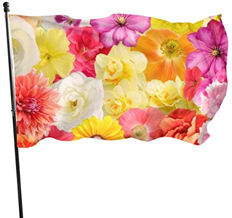 Drapeau de 9,5 x 1,5 m - Grand drapeau de jardin - Fleurs colorées - Dahlia Botanique - Drapeau amusant - Couleurs vives - Drapeau coupe-vent en polyester - Drapeau saisonnier pour extérieur et