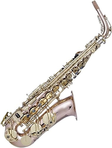 Saxofon nybörjarkit för vuxna, saxofon musikinstrument fosfor brons tub kropp E platt saxofonlack yta alto saxofon instrument för nybörjare