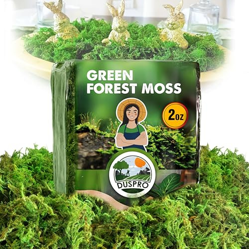 [Upgraded] DUSPRO Green Moss for Crafts, Real Forest Moss Potted Plants, Decorative Mosses for Table Centerpieces Wedding, Easter Day Decoration, Indoor Planters, DIY Project (2 Oz)