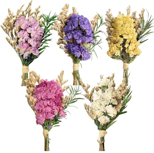 5 buntar mini torkade blommor bukett naturlig torkade pressade blommor flerfärgade förgätmigej för små vaser för blommor DIY dekor scrapbooks fotoalbum presentkuvert
