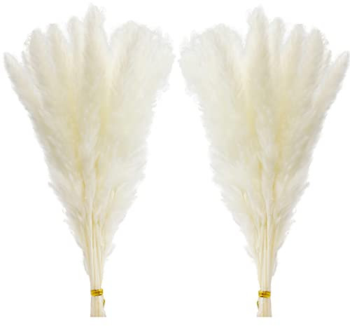 HanYun 30 Stück Pampasgras,45cm Natürlich Pampasgras Getrocknet Weiss Deko Trockenblumenstrauß für Wohnzimmer,Schlafzimmer,Boho，Tischdeko Hochzeit（Weiß）