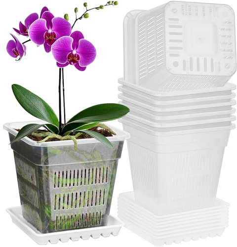 IWTTWY 8 PCS Clear Orchid Pots, 15CM Plastic Plant Pots with Drainage Hole and Tray, Root-Control Nursery Planter, Seed Seedling Pots for Orchid, Peace Lily, Snake Plant (Square Clear)