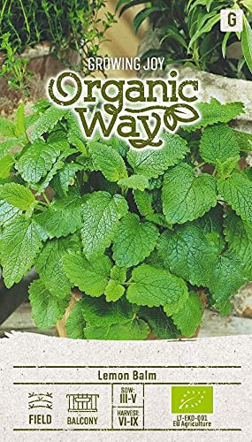 Organic Way | ZITRONENMELISSE samen | Pflanzesesamen | Zitronenmelisse samen | Gardensamen | Mehrjährige Heil Pflanze | Gewürz und Holzpflanze | 1 Pack