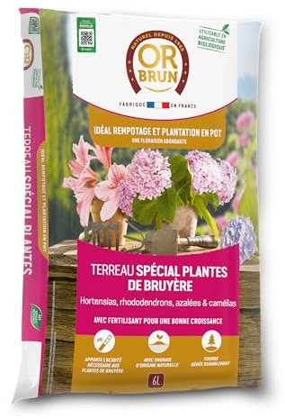 Or Brun Terreau Spécial Plantes De Bruyère - 6L - Meilleur Enracinement - Utilisable en Agriculture Biologique OBRTBRU6U