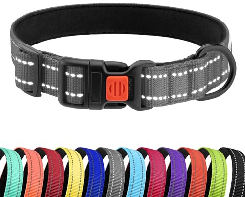 CollarDirect Reflektierendes Hundehalsband für kleinen, mittelgroßen, großen Hund, Welpen mit Schnellverschluss, Hündin, Rüde, 48 Sorten, Nylon Wasserfest