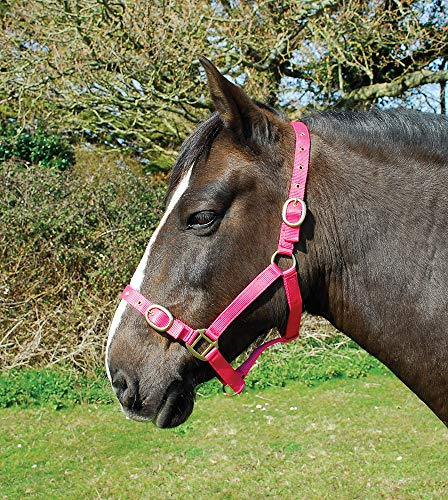 Rhinegold Cavezza in Nylon - Pony - Lampone