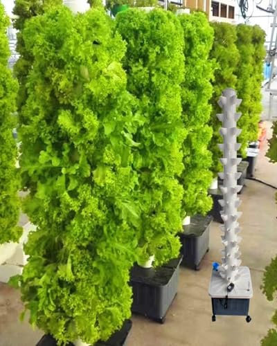 GLFNB GFF Tour de Jardin Hydroponique Verticale (10/15/20/25/55 Trous), Tour hydroponique, Adaptateur + Pompe à Eau, Pots en Filet + Réservoir d'eau Mobile, pour Herbes, Fruits et Légumes d'intéri