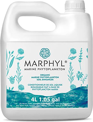 Pflanzen Dünger Zimmerpflanzen und Garten - Marine Phytoplankton Bodenverbesserer und Hydrokultur Dünger für Gräser, Blumen, Bambus, Sukkulenten, & Gemüse - MARPHYL Bio Pflanzendünger Flüssig