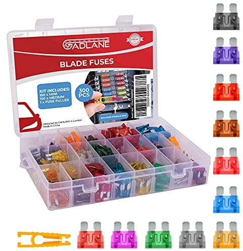 GADLANE Car Fuses Assorted Kit - 300pcs Mini & Medium Blade Fuses Replacements - 2A to 40A - Includes Car Fuse Puller And Car Storage Box