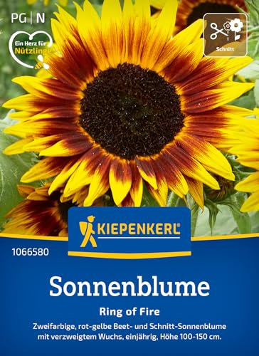 Kiepenkerl Sonnenblumensamen Ring of Fire 1066580 - Rot- Gelbe reichverzweigte Sorte mit langer Blütezeit - Wildblumensamen, Blumenwiese, Saatgut