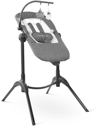 Baby Delight Bloom Baby Seat | Soothing and Adjustable Baby Chair | Portable and Compact | Charcoal Tweed