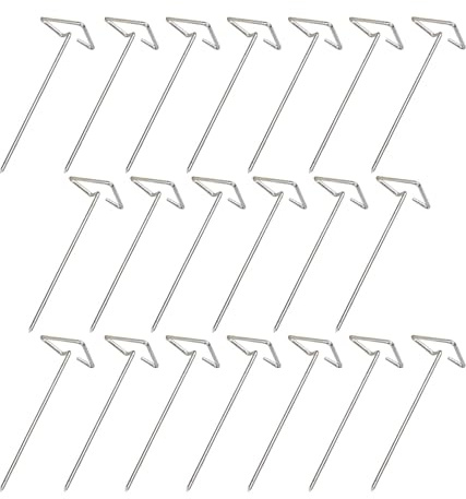 YNPQTDS Brochetas para freidora de aire, 20 brochetas verticales de acero inoxidable para brochetas, brochetas de pollo, pinchos de metal reutilizables para carne
