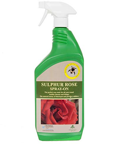 YouGarden - Sulphur Rose Spray On Tonic 1L, Ready to Use Trigger Spray, Disease Control for Rose Plants and Bushes - Prevents Blackspot and Mildew, Perfect for Any Rose Plant