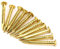 100 pezzi di chiodi a testa tonda in ottone, 10 mm/15 mm/18 mm/22 mm chiodini in ottone per bocchette per mobili, cerniere, scatole, progetti di artigianato(15mm Length)