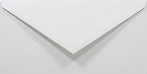 Netuno 100 Umschläge Grau DIN lang 110x220 mm 80g Rainbow graue Briefumschläge Hochzeit Geburtstag Weihnachten Taufe Briefhüllen bunt Papier-Briefumschläge nassklebend Einladungsumschläge lang farbig