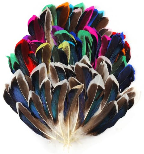 Moosono Bunte Federn, 300 Stück Federn Zum Basteln, 10~15cm Feder Handwerk Indianer Bastelfedern Feder Deko für DIY Feder Ohrring, Traumfänger, Kopfschmucksfedern, Hüten, Hochzeit, Schulhandwerk
