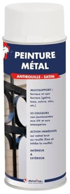 Metaltop - Peinture Metal - Vert mousse - RAL 6005 - Bombe 400mL