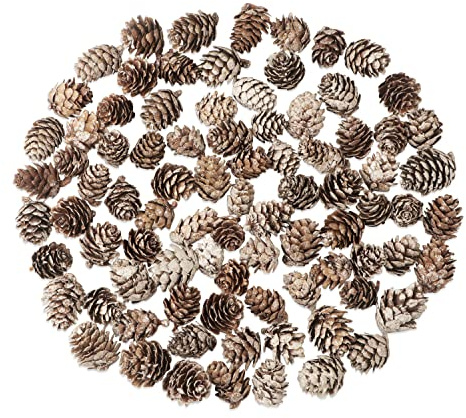 Songjum 100 Stück Tannenzapfen Deko Mini mit Weißer Anstrich Tannenzapfen Natur Klein Weihnachten Tannenzapfen für Zuhause Party Basteln Geschenk Hochzeit Weihnachtsbaum Winterdekoration