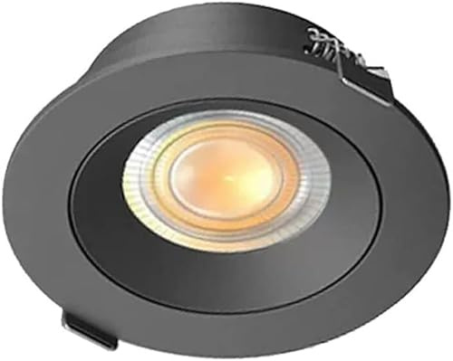 Foco LED Ultrafino Regulable para empotrar en el Techo, lámpara de Techo para comercios, Tiendas y centros comerciales (Oscuro, 12 W)