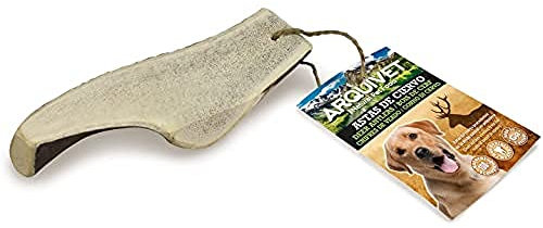 ARQUIVET Mezzo Corno di cervo - Corno da masticare per cani ecologico - Corno di cervo per cane - Corno da masticare naturale - Corno di cervo raccolto autunnale - L - 81-120 g