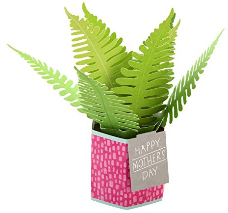 Hallmark mors dagskort, pop up-växt Paper Wonder design