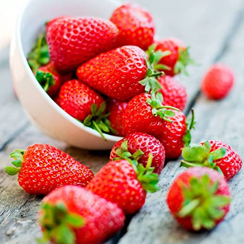 Semillas de Fresones para Cultivar Fresas Grandes muy Beneficiosas