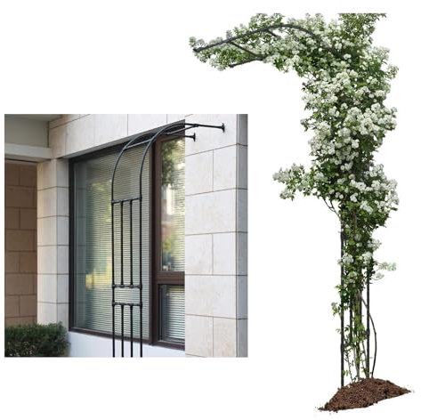 KKTX Arc à Demi-côté du Jardin 240 cm / 94 Pouces de Jardin métalBlack,250x240cm