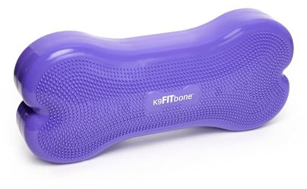FitPAWS Giant Fitbone (Violett)