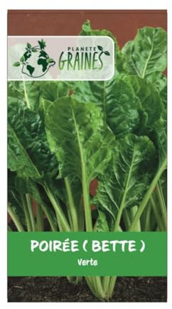 200 graines de poirée verte a couper - Bette - facile a cultiver