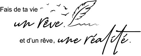 Adesivi Murali Scritte Francesi Frasi Adesivi da Parete Citazioni PVC Nero Ornamento per Casa Cucina Camera da Letto Soggiorno Porta Finestre Muro Specchio Fai da Te