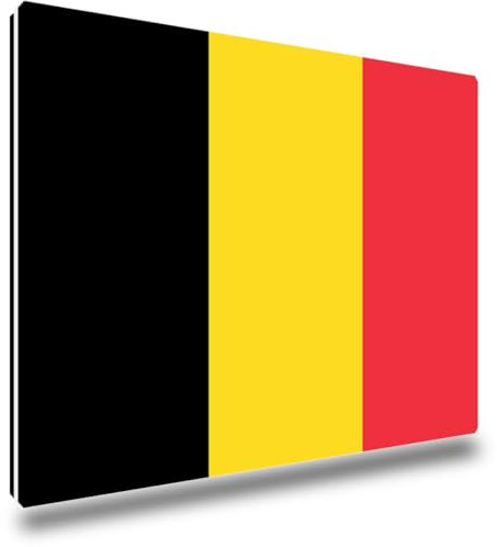 TRIOSK Kühlschrankmagnete Länderflaggen Magnet Flagge Belgien Länder Reise Souvenir Geschenk für Reiselustige Frauen Männer Weltenbummler Kühlschrank stark eckig groß 85x55 mm
