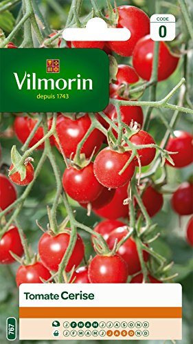 Vilmorin 3974040 Tomate cerise Rouge