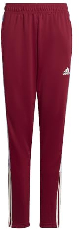 Adidas Boys Tiro Pants Legacy Burgundy Small