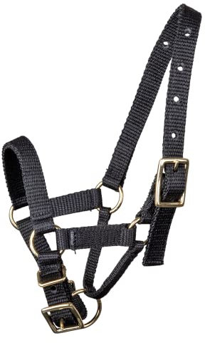 WALDHAUSEN Alpaka Halfter, M, schwarz