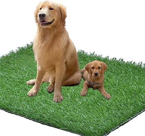 4FT x 6FT Artificial Grass Fake Grass for Pet Training No Tray Synthetic Turf Area Rug Indoor Outdoor Carpet for Balcony TPR Backing Realistic Looking Garden Deck Dog Lawn