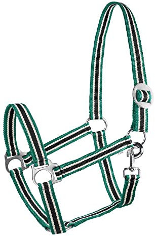 Halfter für Pferde Start Economic Pferdehalfter - Verstellbares Halfter Pferd, Stallhalfter Pony, Vollblut, Warmblut (Aquamarin/Weiß/Schwarz, COB)