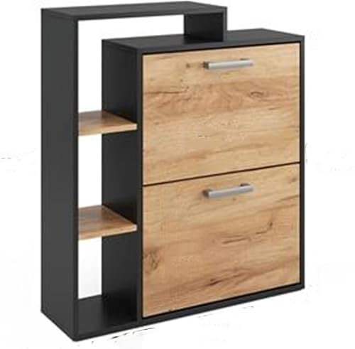 DUPI Zapatero con Estantería Aitana | 2 Puertas Oscilantes | 4 Baldas para 20 Zapatos | Diseño Minimalista | Madera Aglomerado | Blanco | 2 Cajones