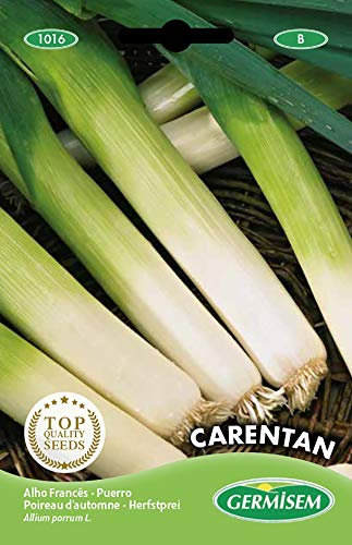Germisem Lauch CARENTAN, mehrfarbig, EC1016