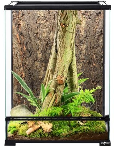 ReptiPlanet Glasterrarium 45 x 45 x 60 cm