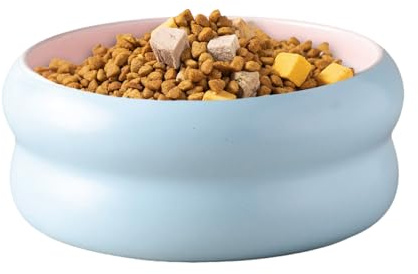 Kattmatsskål | Keramisk Vattenskål För Husdjur,Matfat För Kattungar Och Hundar, För Daglig Användning Inomhus, Utomhus, Resor, Veterinärbesök Och