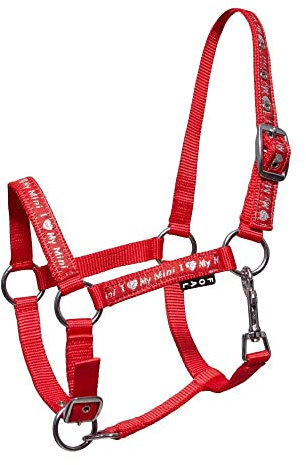 Start ILoveMyMini Reithalfter für Fohlen, verstellbar an Kinn- & Genickstück Fohlenhalfter, Halfter für Fohlen - Halfter für Mini Shetty Halfter für Holzpferd (Foal, Rot)